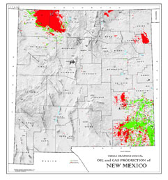 Shaded Relief Map: New Mexico Oil & Gas-69